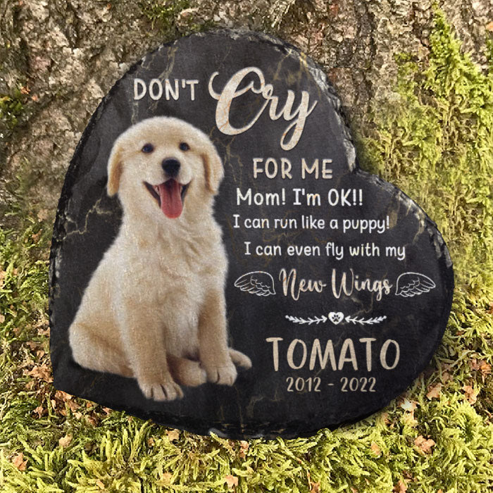 Je peux même voler avec mes nouvelles ailes ! Pierre commémorative personnalisée, pierre tombale pour animal de compagnie ! Télécharger une image, cadeau commémoratif, cadeau de condoléances