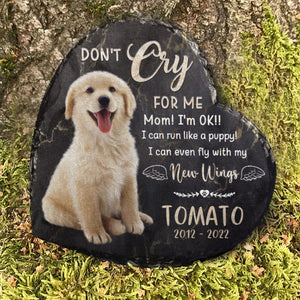 Je peux même voler avec mes nouvelles ailes ! Pierre commémorative personnalisée, pierre tombale pour animal de compagnie ! Télécharger une image, cadeau commémoratif, cadeau de condoléances