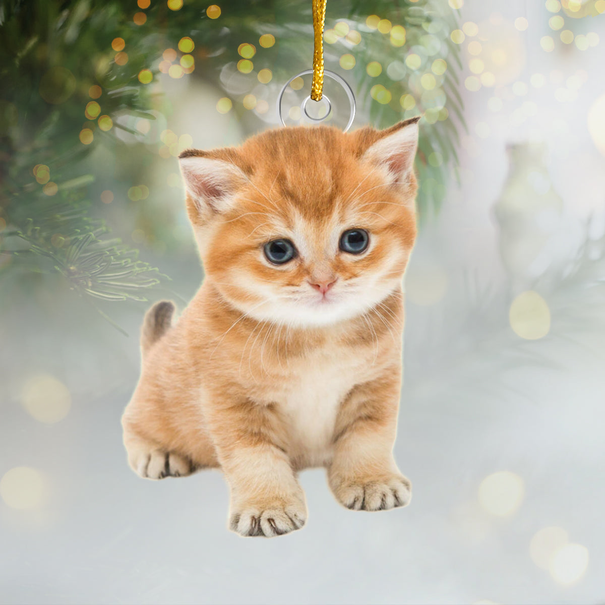 Photo personnalisée : Une maison n’est pas un foyer sans animal de compagnie - Ornement personnalisé pour chien et chat - Acrylique en forme personnalisée - Cadeau de Noël pour les propriétaires et les amoureux des animaux