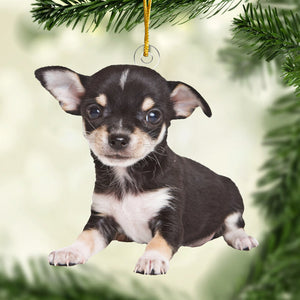 Décorations de Noël personnalisées avec photo à télécharger : célébrez Noël avec la meilleure amie de ma sœur ! Décoration personnalisée pour la famille ! Décoration en acrylique personnalisée ! Cadeau de Noël pour frères et sœurs, sœurs et cousins