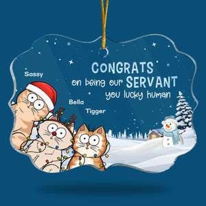 Félicitations pour votre service ! Ornement personnalisé en forme de chat en acrylique, forme Benelux. Cadeau de Noël pour les propriétaires et les amoureux des animaux.